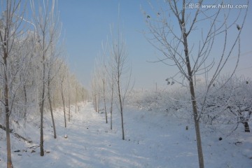 雪景