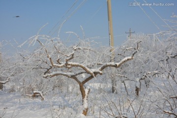 雪景