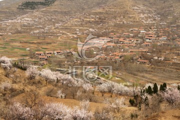 春天的小山村