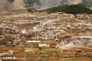 春天的小山村