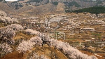 春天的小山村