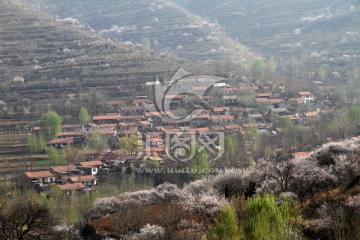 春天的小山村