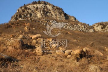 山岗 枯草 岩石