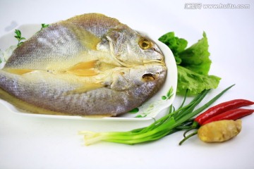 黄鱼鳖
