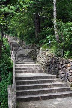 山间台阶