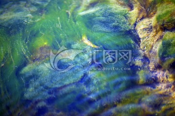 水波 苔藓