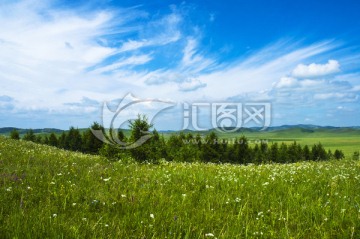蓝天 白云 草原 树林