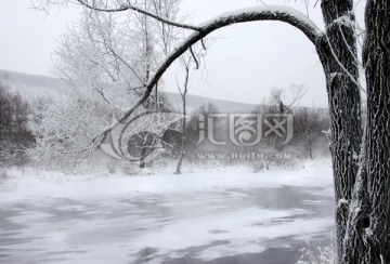 根河不冻河树林