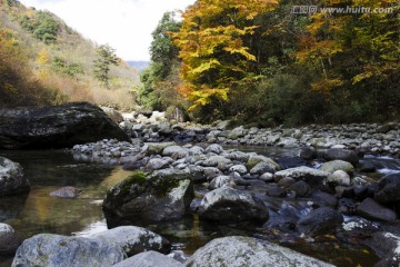 彩叶 溪流