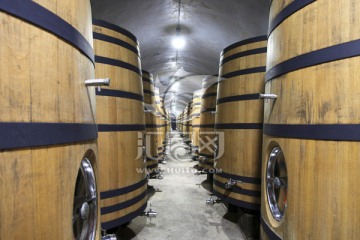 张裕葡萄酒博物馆 酒窖