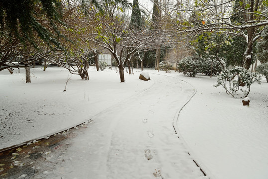 雪后公园