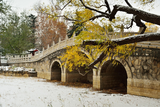 雪后