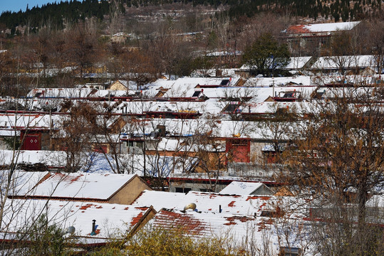 雪后村庄