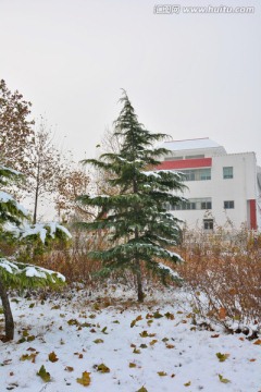 雪景