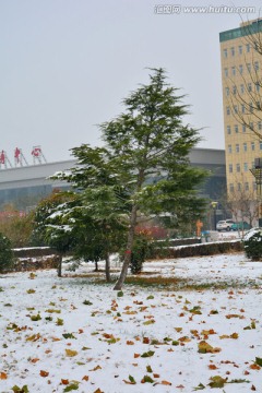 雪景