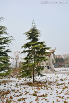 雪景