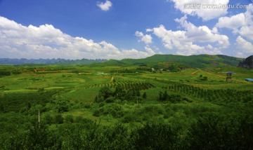 自然风景 郊野风景