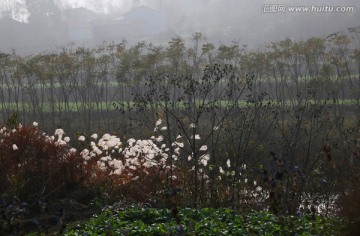 河流 自然风光