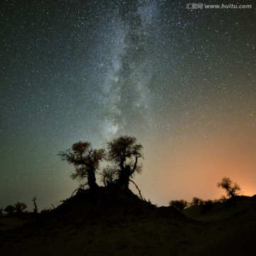 胡杨星空