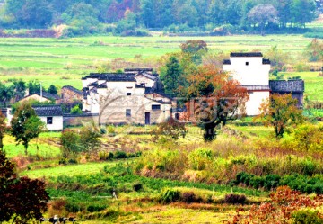 红叶 白墙 黑瓦 青山绿水