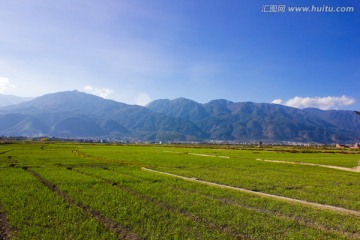 大理苍山农田