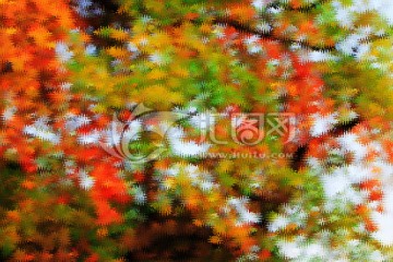 發(fā)財(cái)樹(shù)抽象油畫(huà)