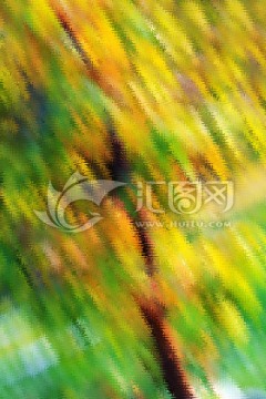 發(fā)財(cái)樹抽象油畫