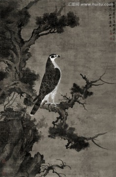 柏鷹圖