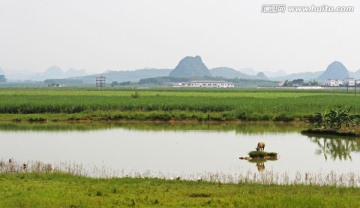 田园风光