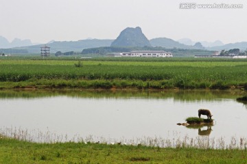 田园风光