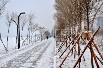 冬季的街道