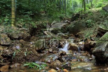 江苏溧阳南山竹海