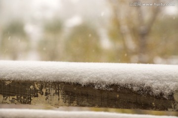 下雪中的积雪