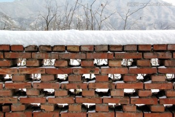 大雪覆盖的花墙