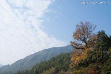 婺源山峰