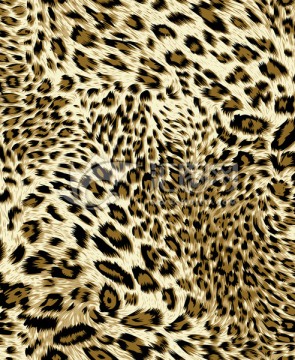 印花 背景 纹理 豹纹 动物
