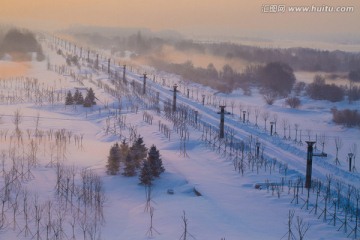 大道 雪地