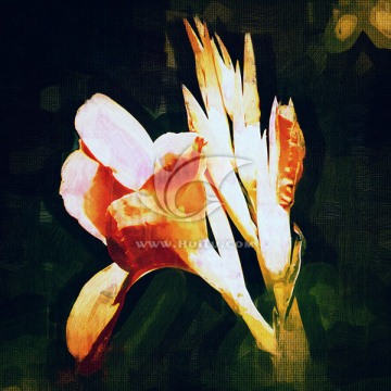 美人蕉 花卉油畫