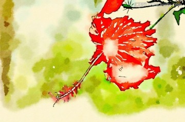 花卉水彩畫(huà) 裝飾畫(huà)
