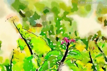 花卉水彩 裝飾畫