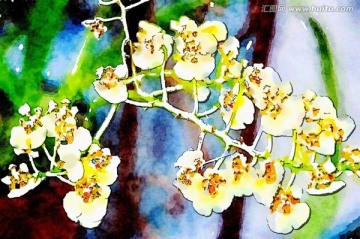 鮮花素材 水彩畫