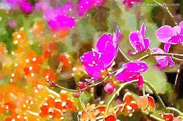 鮮花素材 水彩畫