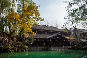 锦里古建筑和银杏