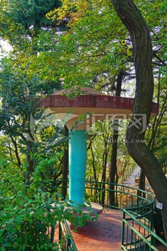 青岛信号山公园蘑菇亭