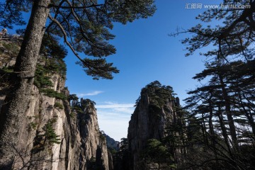 黄山松 蓝天白云