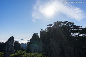 黄山 蓝天白云 逆光 松林