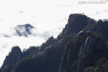 黄山松 西海大峡谷 白云谷