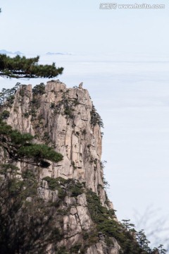 黄山石猴观海 竖片