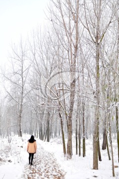 北方天空 大雪 雪后田野 天气