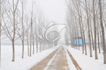 北方天空 大雪 雪后田野 天气